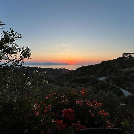 Villa Walnut Tree Farm Agia Anastasia Exterior foto