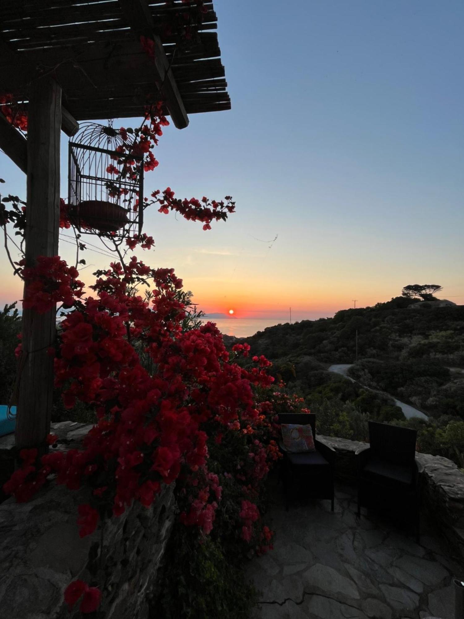 Villa Walnut Tree Farm Agia Anastasia Exterior foto