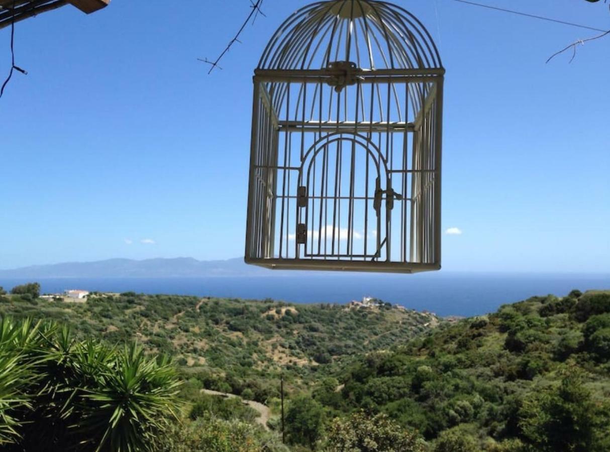 Villa Walnut Tree Farm Agia Anastasia Exterior foto