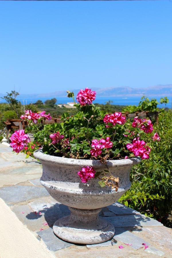 Villa Walnut Tree Farm Agia Anastasia Exterior foto