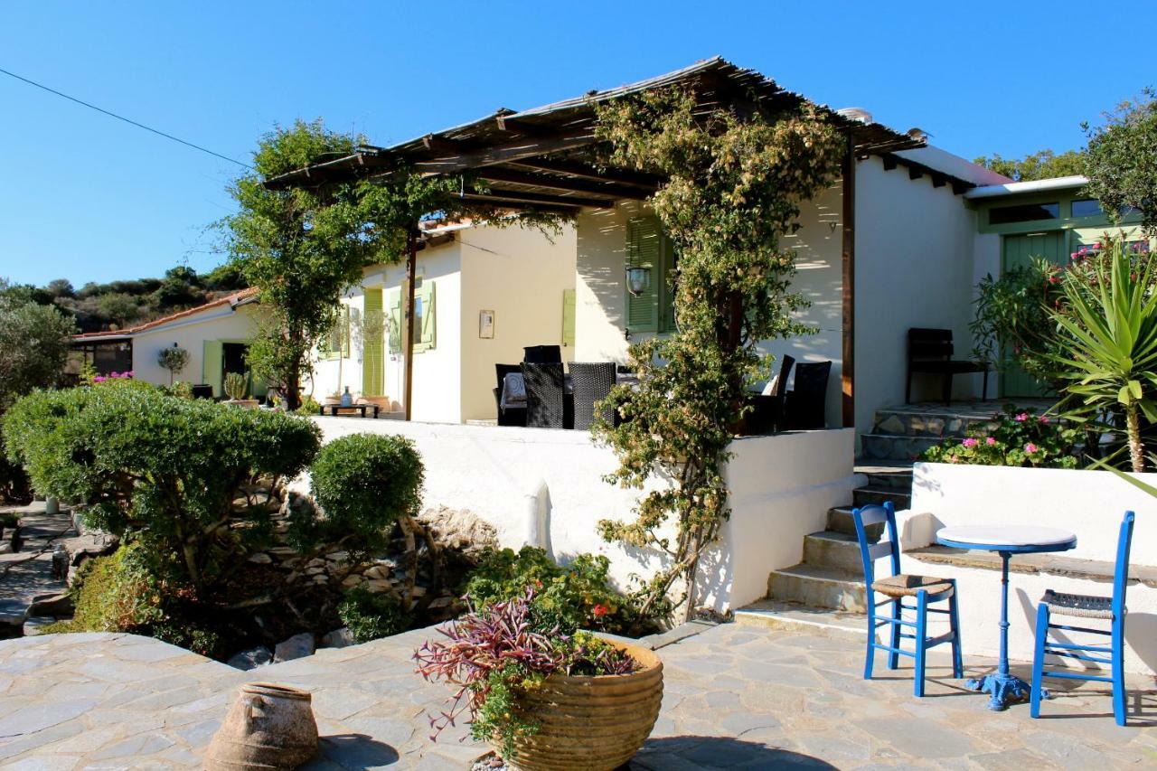 Villa Walnut Tree Farm Agia Anastasia Exterior foto