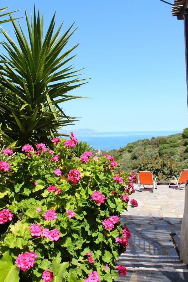 Villa Walnut Tree Farm Agia Anastasia Exterior foto