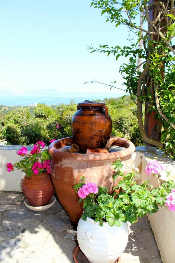 Villa Walnut Tree Farm Agia Anastasia Exterior foto